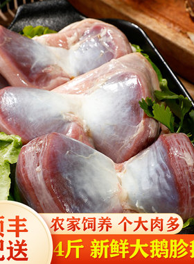 【顺丰包邮】4斤新鲜鹅胗大鹅胗鹅肫冷冻鹅内脏心肝鹅杂鹅肉鹅珍