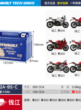 猛狮适用钱江赛600赛421赛800赛921 摩托车电瓶12V通用免维护电池