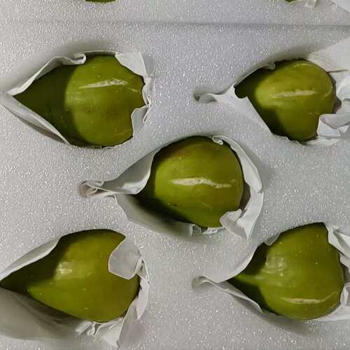 斯特拉10~16颗2斤