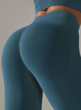 Women Seamless Yoga Sports Leggings Runing Gym Clothing Spor