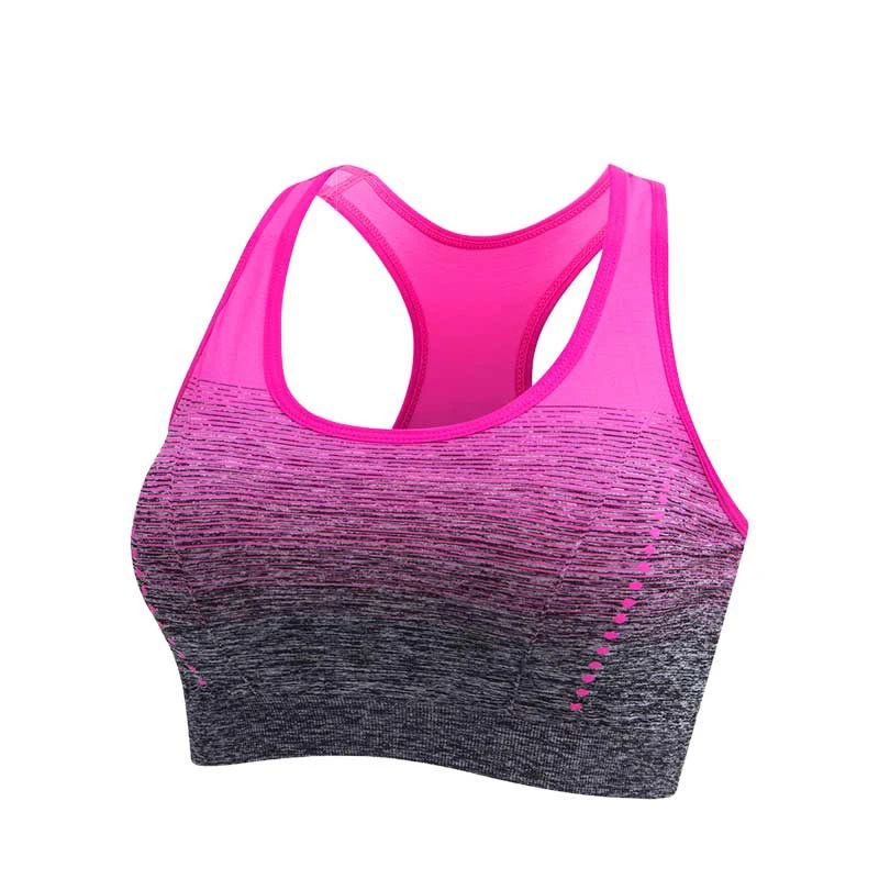 Sports Bra High Stretch Breathable Top Fitness Women Padded