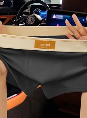 4 pcs Men Underwear Cotton BoxerShorts Hombre Panties Man Br