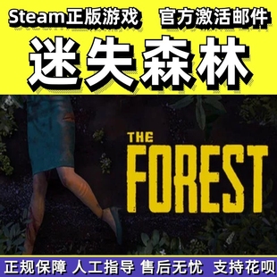 Steam迷失森林The Forest恐怖森林国区礼物pc中文正版