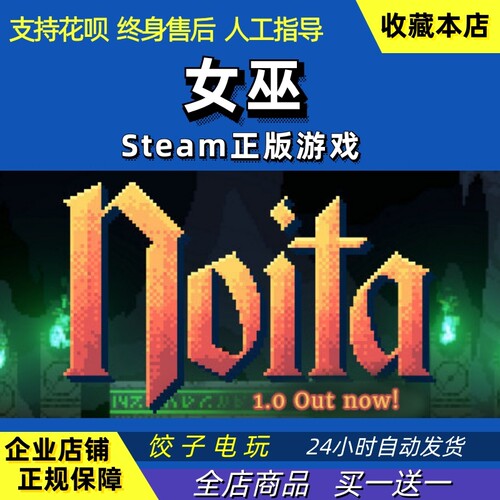 正版PC中文游戏巫婆女巫Noita