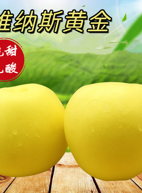 5斤包邮 当季现摘维纳斯黄金 脆甜无酸味黄苹果 非奶油富士