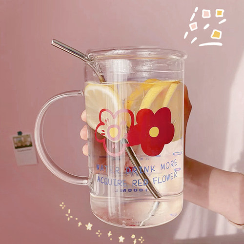 1000ml大容量喝水夏季带把玻璃杯