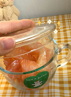 杯盖透明纯色高硼硅日式玻璃盖子茶盖壶盖配件喝水挡灰装饰零配件