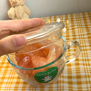 杯盖透明纯色高硼硅日式 饰零配件 玻璃盖子茶盖壶盖配件喝水挡灰装