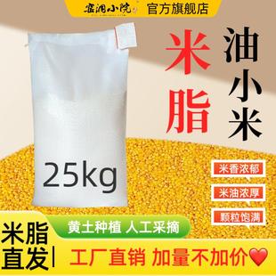 陕北特产窑洞小院农家杂粮黄小米新鲜米脂小米散装25kg包邮