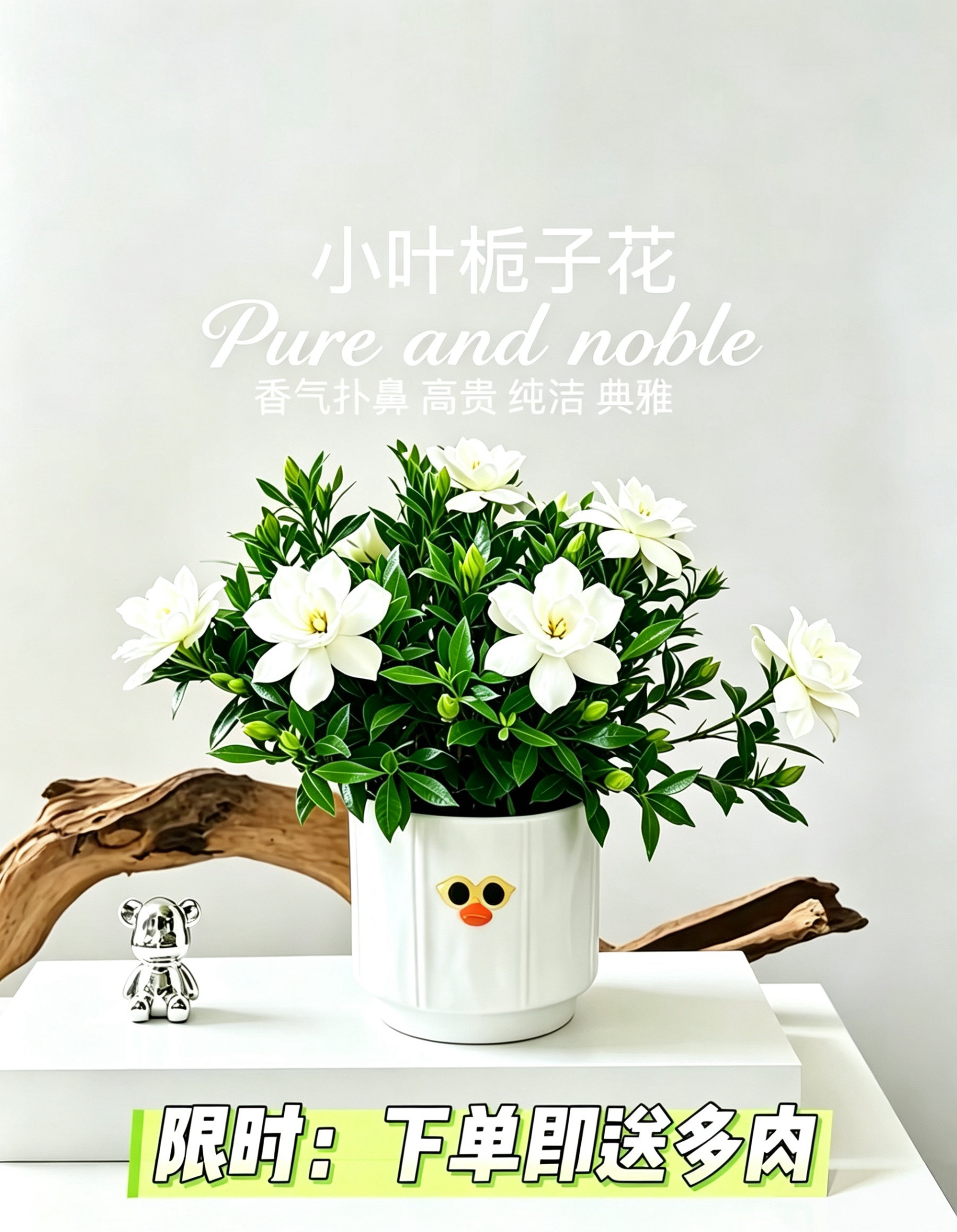 桌面绿植小盆栽室内植物小叶栀子花工位创意绿植茉莉办公室高档