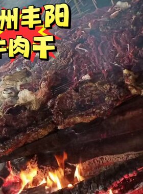 连州特产连州丰阳牛肉干顺丰冷链