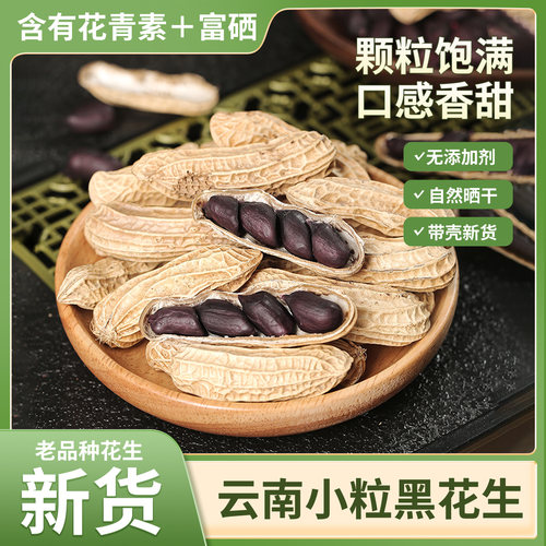 云南小粒黑花生老品种自然晒干