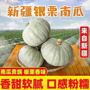 板栗南瓜正宗新疆银板栗南瓜贵族翻瓜干面粉糯宝宝辅食产地直发