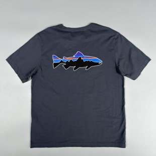 T恤男款 Roy飞鱼标有机棉柔软圆领短袖 patagonia巴塔哥尼亚Fitz