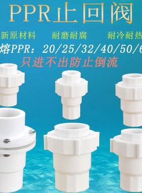 2活0PPR止回阀止逆阀止水阀逆止阀5/32/40/50/263管件水管配接件