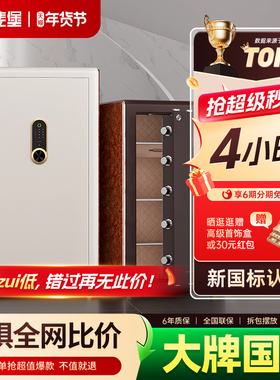艾斐堡家用防盗保险柜人脸识别国标认证智能WIFI无线APP密码保险箱3C全钢60cm家庭办公大型1米入墙夹万入柜