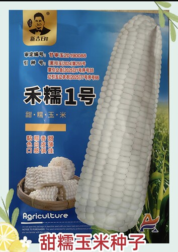 禾糯1号甜糯玉米种子粘甜皮薄