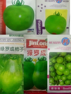 贼不偷西红柿种子农家春季秋季绿珍珠绿罗成绿一点红番茄老品种