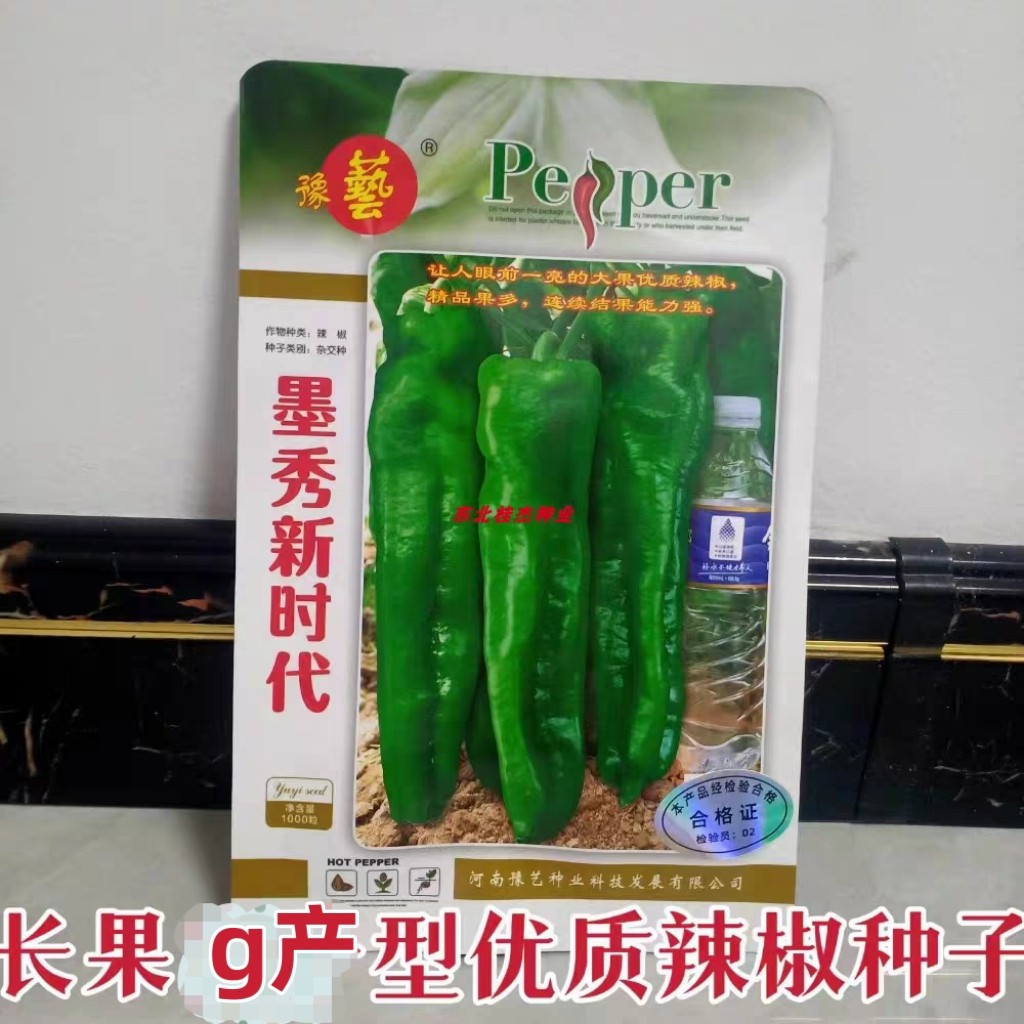 豫艺大果泡椒墨秀新时代辣椒种子
