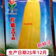 鲜食冷冻非转基因散装 东北黄粘玉米种子万糯2018甜粘优质春季 秋季