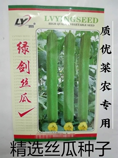 金丰绿剑丝瓜种子寿光改良新品种油亮棚露地春季·秋季长肉丝瓜