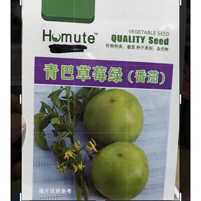 贼不偷西红柿种子农家春季老品种