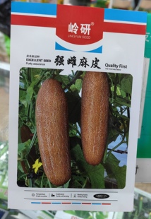 麻皮老黄瓜种子麻皮黄瓜种子麻皮老黄瓜种子麻皮老黄瓜种子