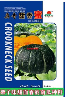 奥奇甜香蜜南瓜种子蛋黄香 东北倭瓜板栗 甜面香菜园露地蔬菜10克