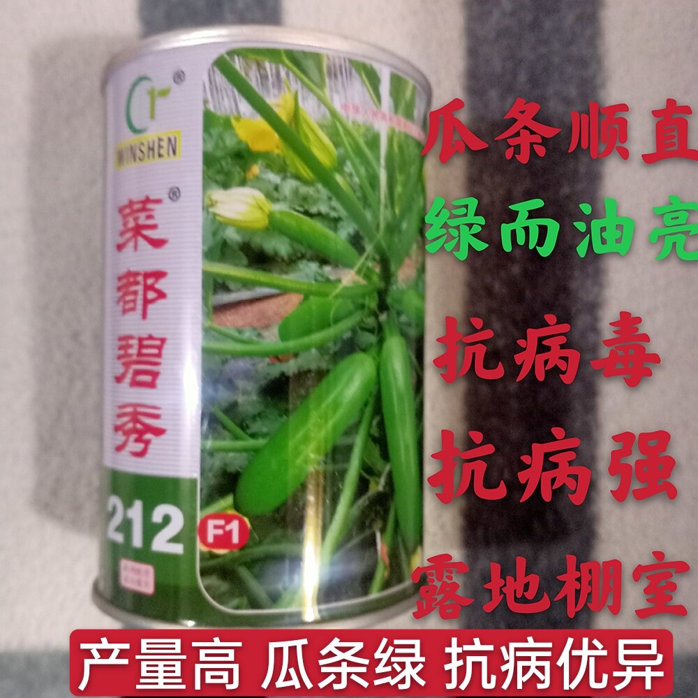 油葫芦种子菜都碧秀212耐热耐寒抗病毒露地棚室春季瓜绿高产