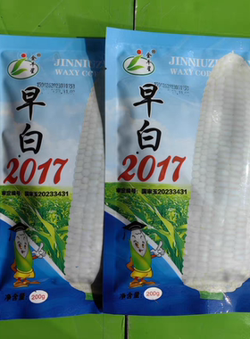 早白2017东北白粘玉米种子春茬粘甜糯皮薄新籽早shu65一82天