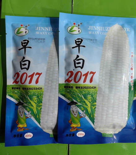 早熟甜粘香早白2017白粘玉米种籽