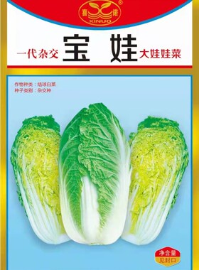 青岛金海春季黄心娃娃菜种子抗病