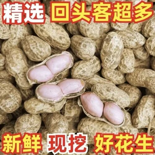 26年河南头茬现挖带壳新鲜好花生