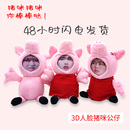 3D立体人面公仔娃娃毛绒玩具定制葵葵同款 蔡徐坤周边iKUN猪咪礼物