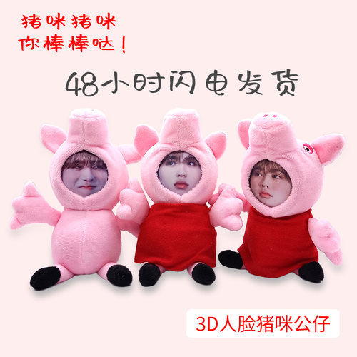 人脸毛绒公仔猪咪ikundiy定制