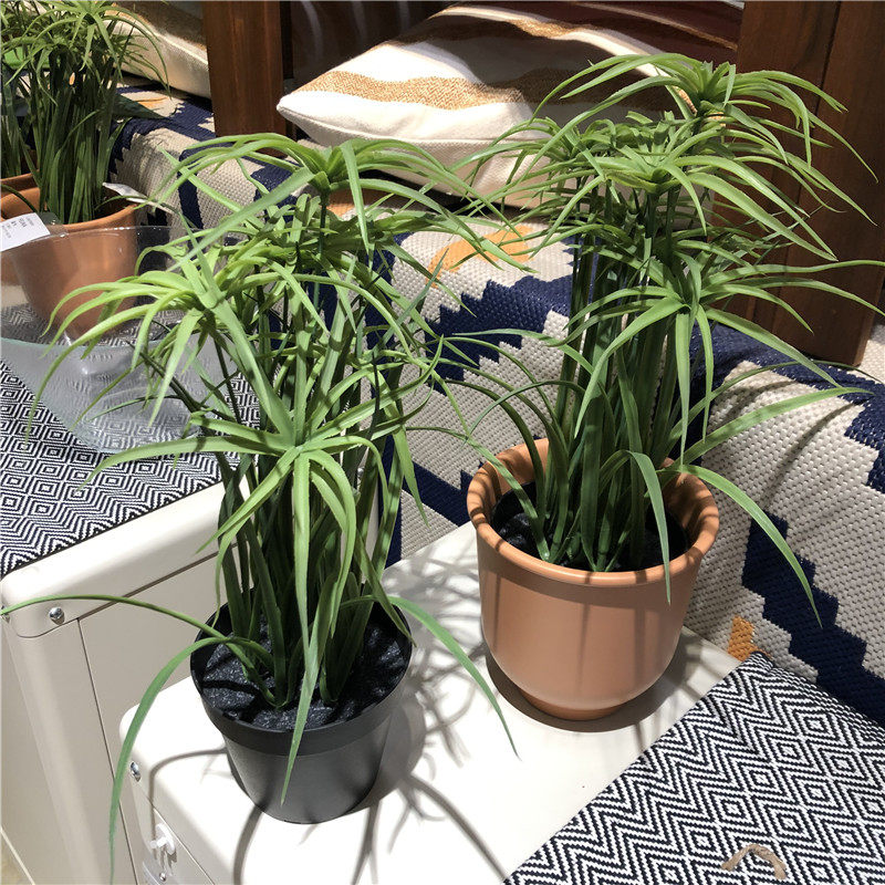 IKEA宜家 菲卡人造盆栽植物纸莎草创意卧室窗台家居装饰仿真绿植