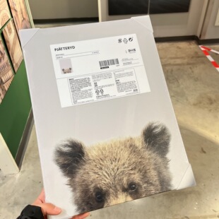 IKEA宜家 皮亚特图片躲猫猫 30x40厘米现代装饰画北欧风简约特价