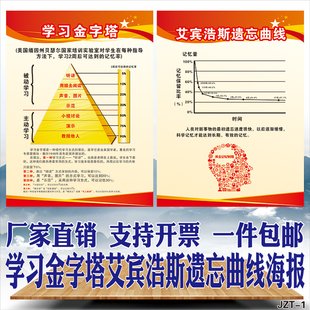学校托管辅导班学习方法金字塔宾浩斯遗忘数据示意图海报贴纸挂图