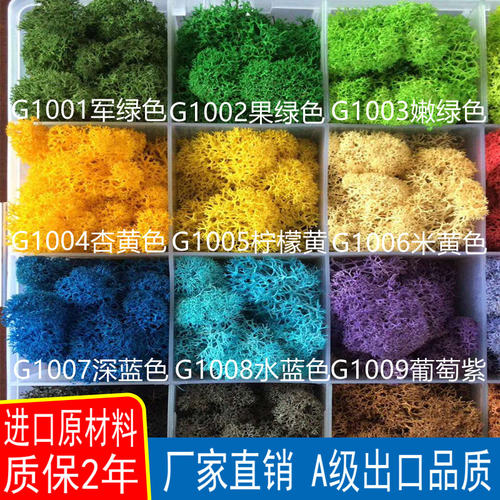 diy植物墙仿真景观干花永生苔藓