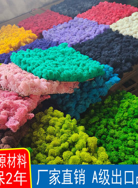 永生粘贴青苔花艺材料景观diy