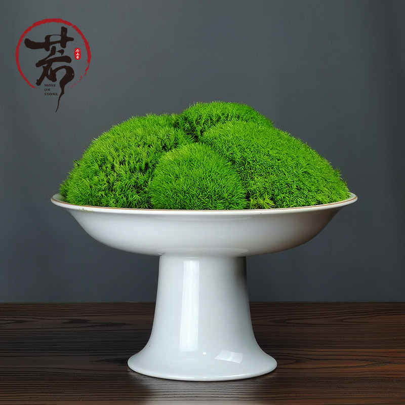 侘寂风吧台玄关酒店桌花艺日式新中式样板房民宿永生苔藓盆景饰品