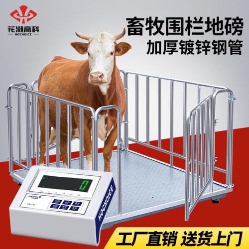 花潮高精度磅秤1-5吨可定制