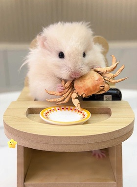 【鼠鼠吃播】仓鼠吃饭椅子餐桌金丝熊吃饭玩具台摆拍可爱桌子造景