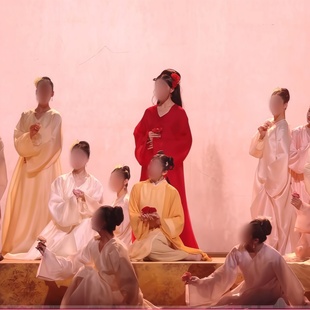 舞剧《游园》同款舞蹈演出表演服专业定制女子古典舞群舞