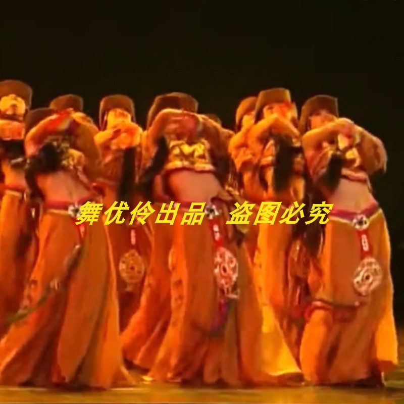 康定情歌女子群舞专业定制同款大摆长裙民族风舞蹈演出表演服1