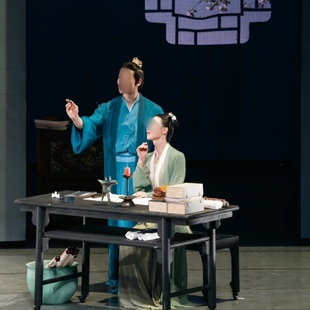 舞剧古典舞独舞《李清照》同款舞蹈演出表演服装专业定制3