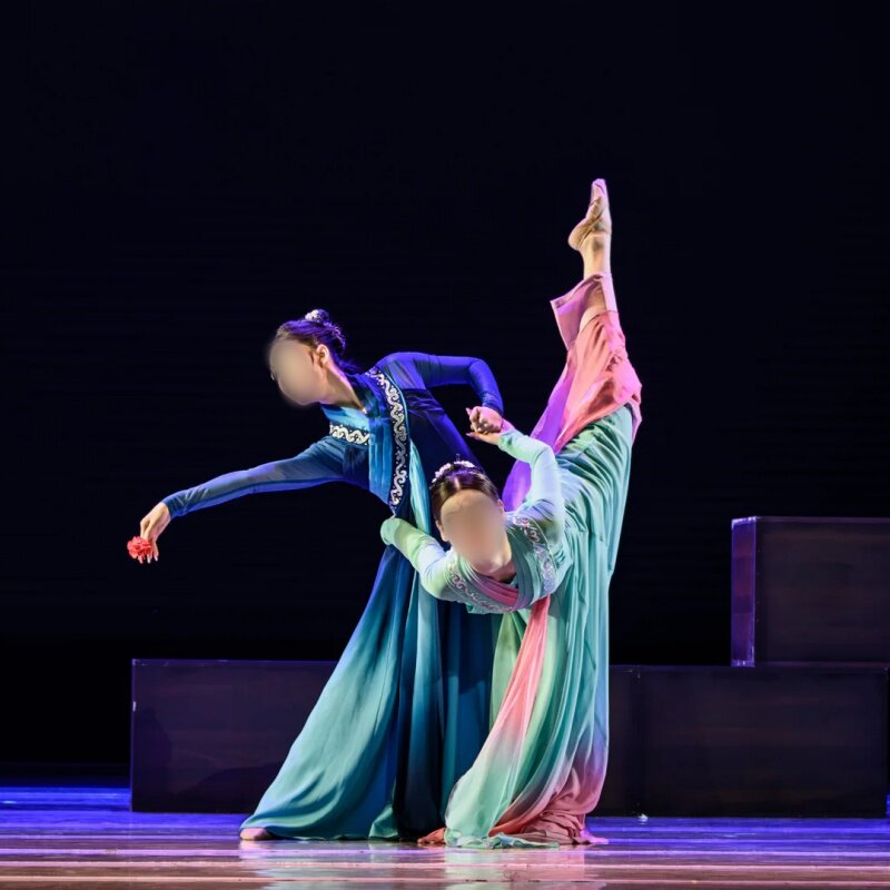 女子古典舞双人舞《年年雪里》同款舞蹈演出表演服装专业定制