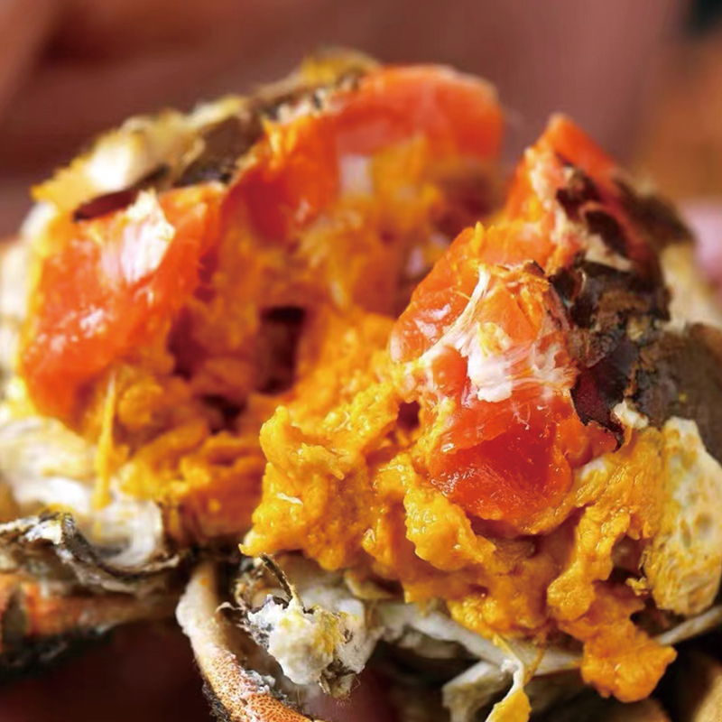 大闸蟹鲜活螃蟹全母太湖大闸蟹