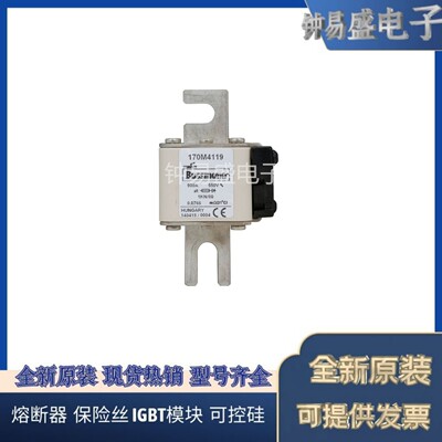 Bussmann熔断器170M4118 170M4119 170M4176 170M4177 170M4178