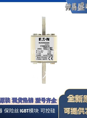 COOPER BUSSMANN熔断器170M3021 690V 500A